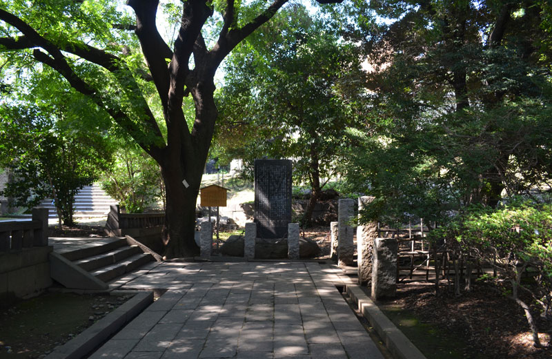 湯島聖堂のめずらしい楷樹