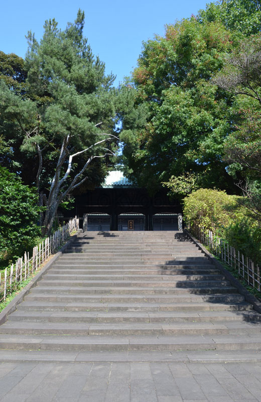 湯島聖堂入徳門の階段