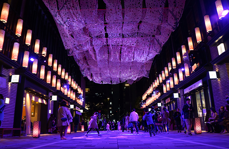 日本橋 桜フェスティバルの「サクラカーペット」を見に行こう！